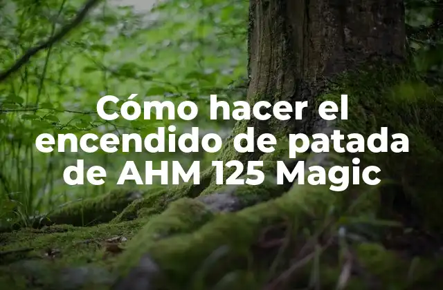 Cómo Hacer el Encendido de Patada de Ahm 125 Magic