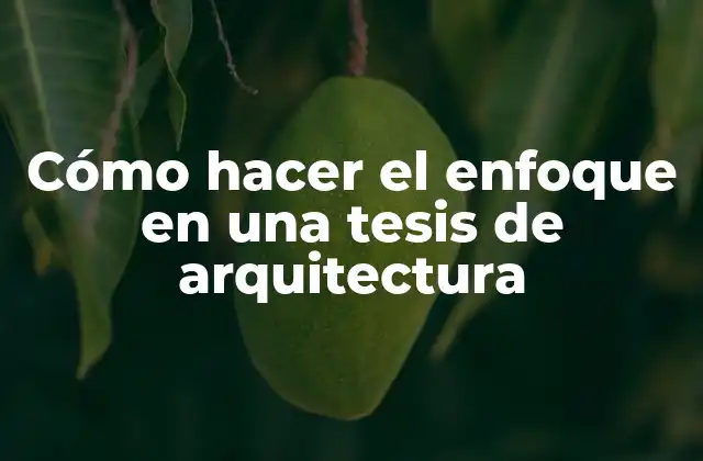 Cómo Hacer el Enfoque en una Tesis de Arquitectura