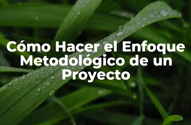 Cómo Hacer el Enfoque Metodológico de un Proyecto