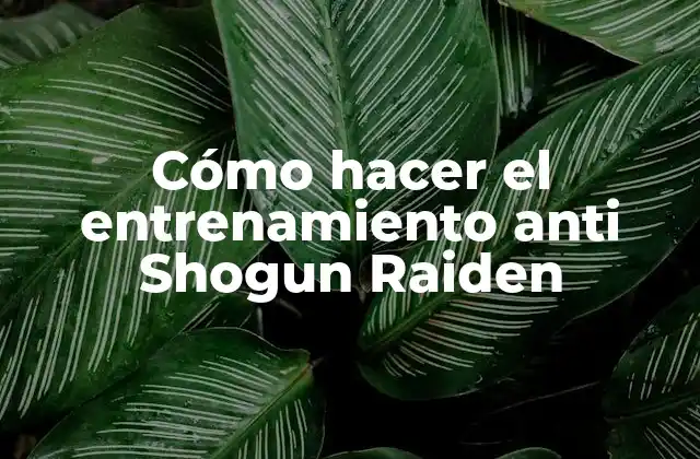 Cómo Hacer el Entrenamiento Anti Shogun Raiden 2 Entrenamiento anti Shogun Raiden: ¿Qué es y para qué sirve?