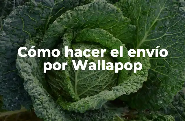 Cómo Hacer el Envío por Wallapop