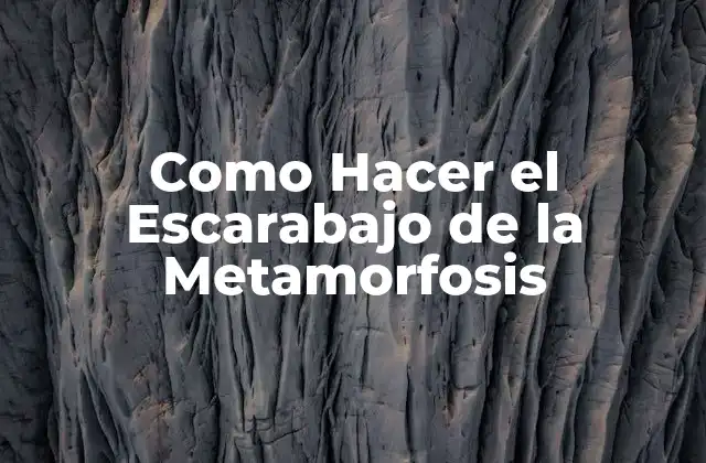 Como Hacer el Escarabajo de la Metamorfosis