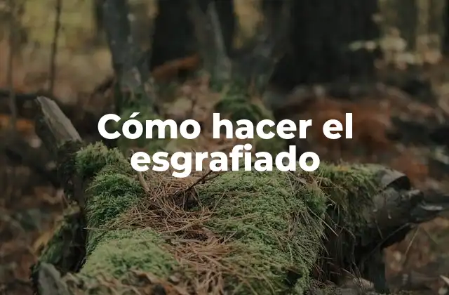 Cómo Hacer el Esgrafiado