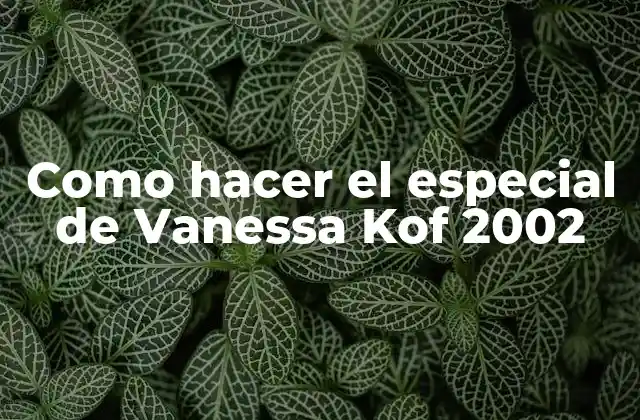 Como Hacer el Especial de Vanessa Kof 2002