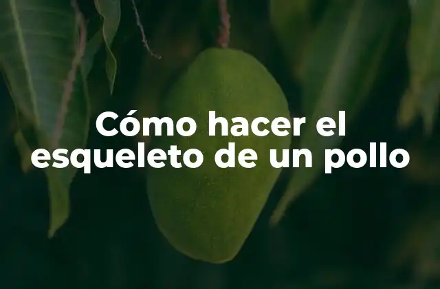 Cómo Hacer el Esqueleto de un Pollo