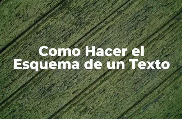 ¿Qué es un Esquema de Texto?
