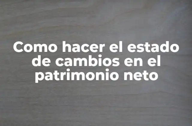 Como Hacer el Estado de Cambios en el Patrimonio Neto