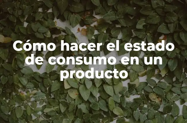 Cómo Hacer el Estado de Consumo en un Producto