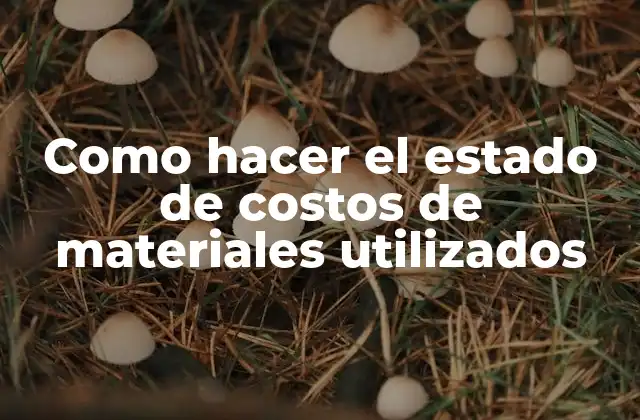 Como Hacer el Estado de Costos de Materiales Utilizados 2 Estado de costos de materiales utilizados