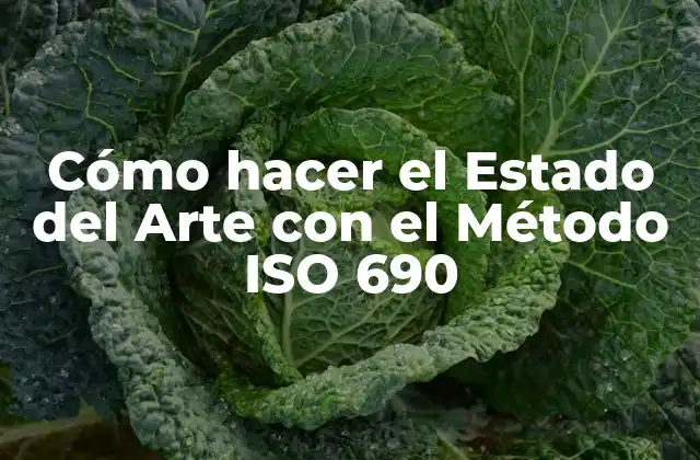 Cómo Hacer el Estado Del Arte con el Método Iso 690