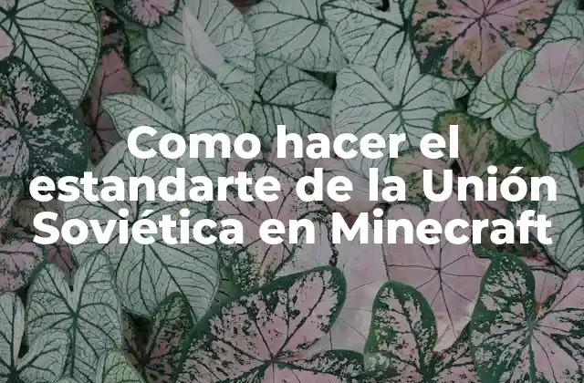 Como Hacer el Estandarte de la Unión Soviética en Minecraft