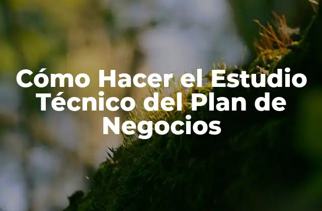 Cómo Hacer el Estudio Técnico Del Plan de Negocios
