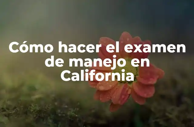 Cómo Hacer el Examen de Manejo en California