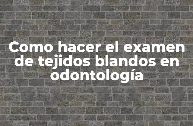 Como Hacer el Examen de Tejidos Blandos en Odontología