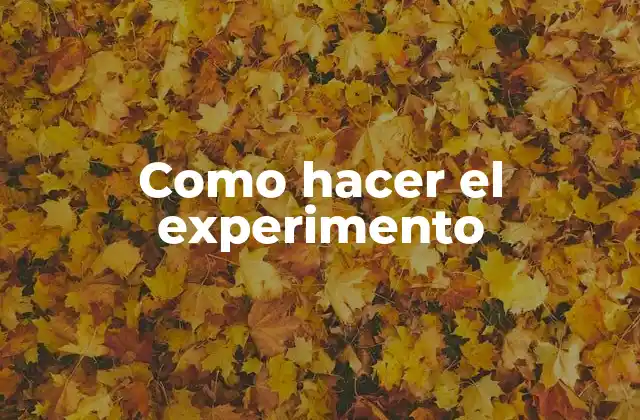 Que es un experimento y para qué sirve