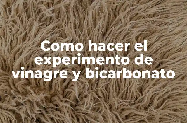 Como Hacer el Experimento de Vinagre y Bicarbonato