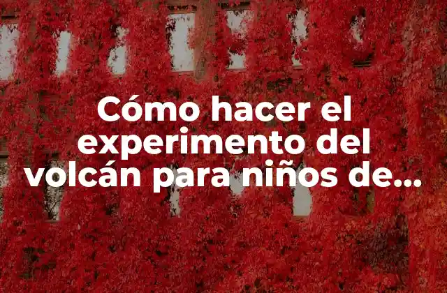 Cómo Hacer el Experimento Del Volcán para Niños de Preescolar