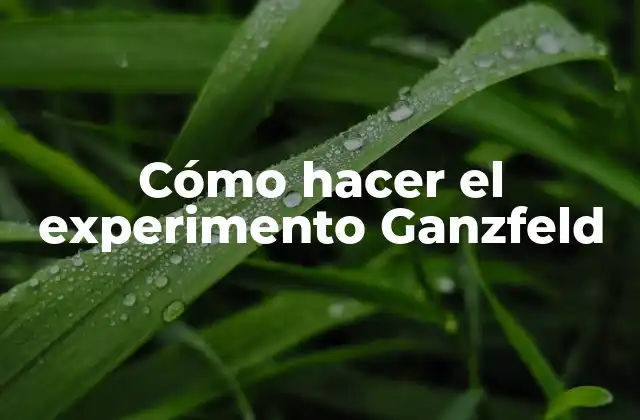 Cómo Hacer el Experimento Ganzfeld