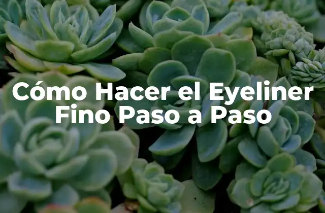 Cómo Hacer el Eyeliner Fino Paso a Paso