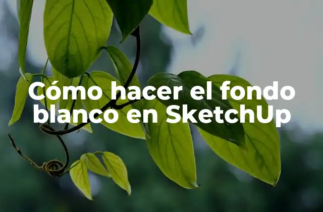 Cómo Hacer el Fondo Blanco en Sketchup