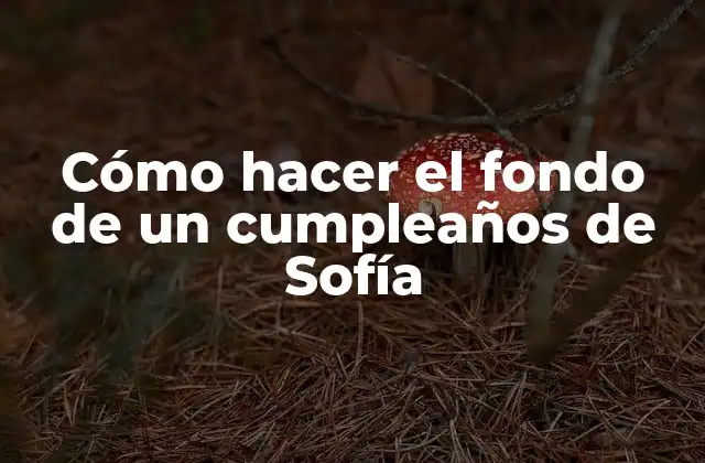 Cómo Hacer el Fondo de un Cumpleaños de Sofía