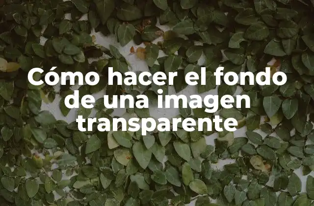 Cómo Hacer el Fondo de una Imagen Transparente
