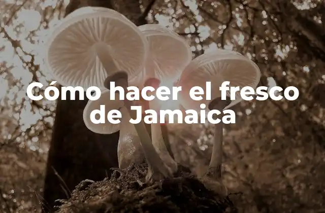 Cómo Hacer el Fresco de Jamaica