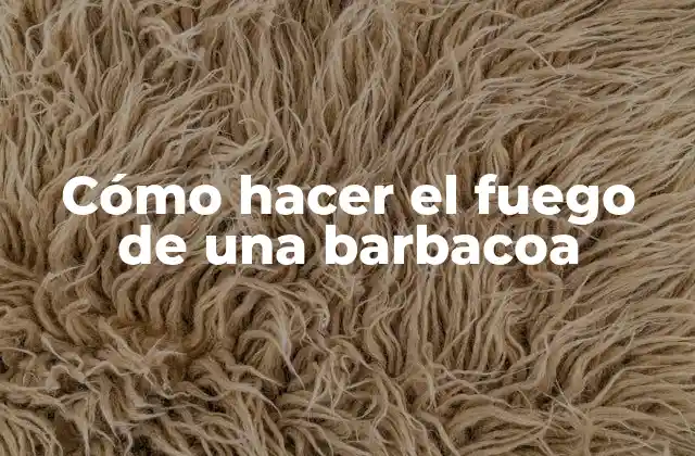 Cómo Hacer el Fuego de una Barbacoa