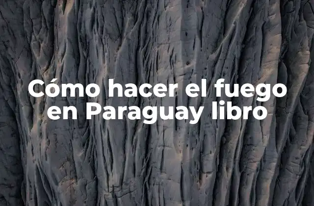 Cómo Hacer el Fuego en Paraguay Libro