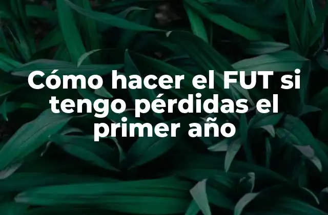 Cómo Hacer el Fut Si Tengo Pérdidas el Primer Año