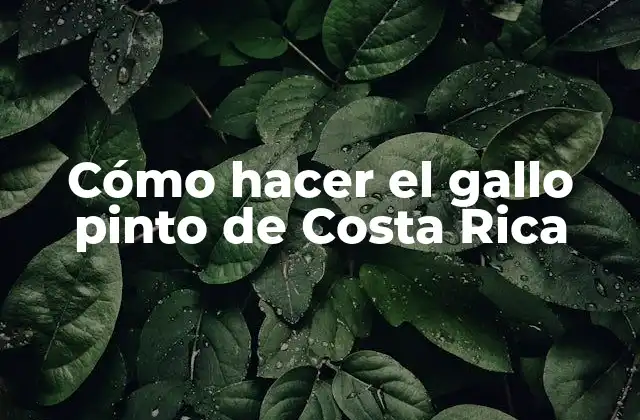 Cómo Hacer el Gallo Pinto de Costa Rica