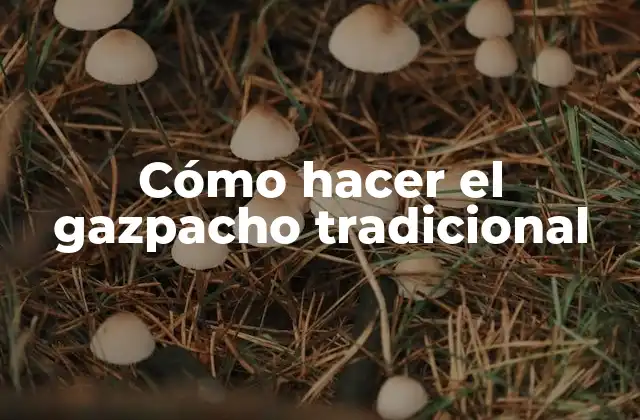 Cómo Hacer el Gazpacho Tradicional