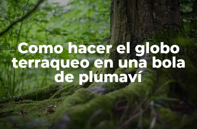 Como Hacer el Globo Terraqueo en una Bola de Plumaví