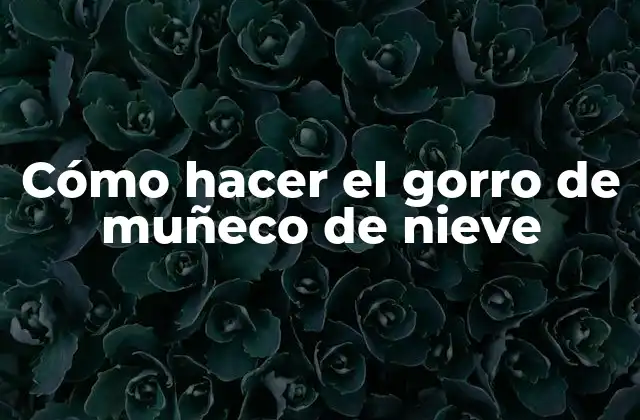 Cómo Hacer el Gorro de Muñeco de Nieve