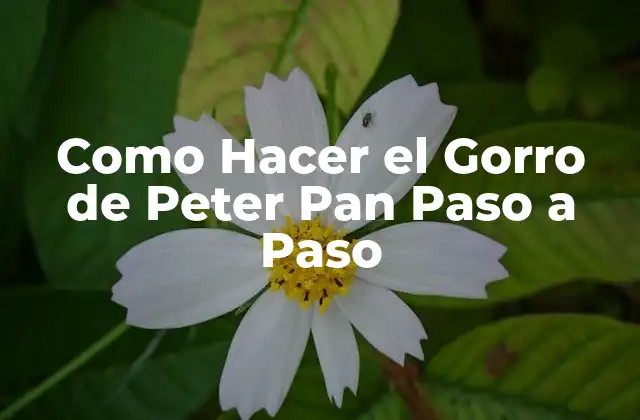 Como Hacer el Gorro de Peter Pan Paso a Paso