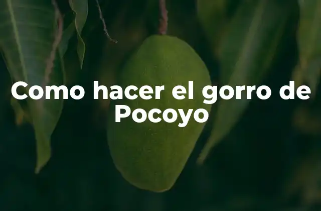 Como Hacer el Gorro de Pocoyo 2 ¿Qué es el gorro de Pocoyo?