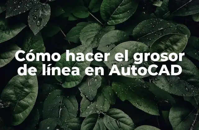 Cómo Hacer el Grosor de Línea en Autocad