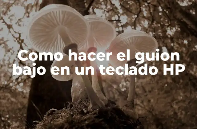 Como Hacer el Guion bajo en un Teclado Hp