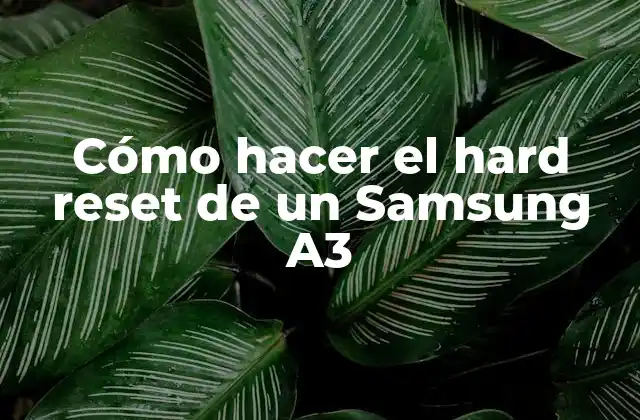 Cómo Hacer el Hard Reset de un Samsung A3