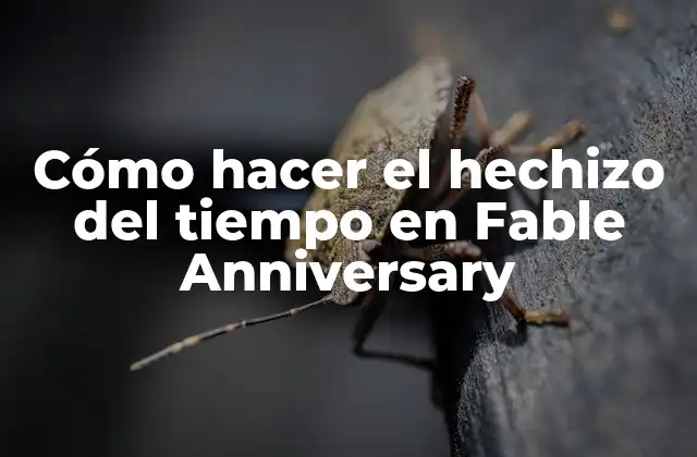 Cómo Hacer el Hechizo Del Tiempo en Fable Anniversary