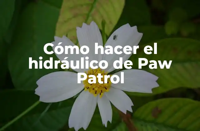 Cómo Hacer el Hidráulico de Paw Patrol