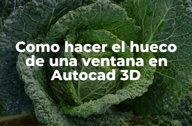 Como Hacer el Hueco de una Ventana en Autocad 3d