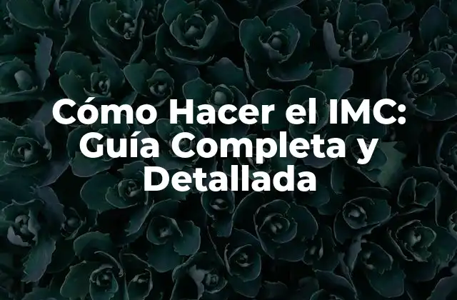 Cómo Hacer el Imc: Guía Completa y Detallada