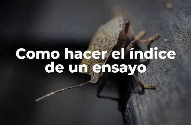 Como Hacer el Índice de un Ensayo