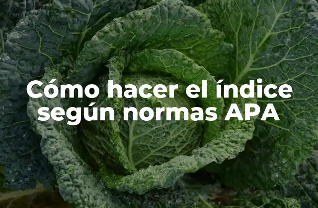 Cómo Hacer el Índice según Normas Apa