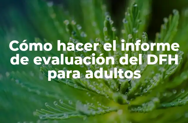 Cómo Hacer el Informe de Evaluación Del Dfh para Adultos