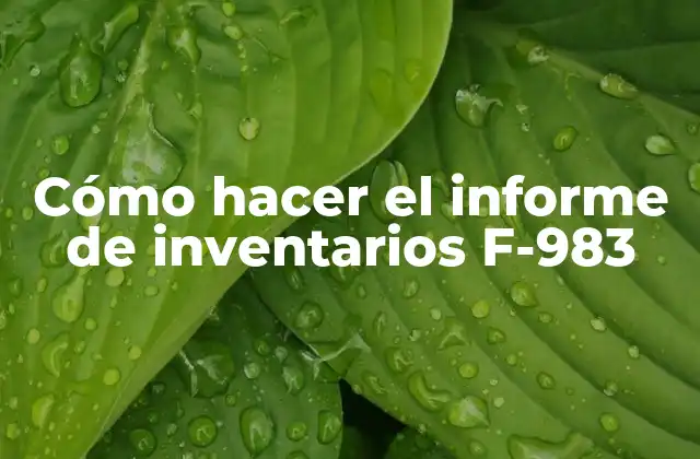 Cómo Hacer el Informe de Inventarios F-983