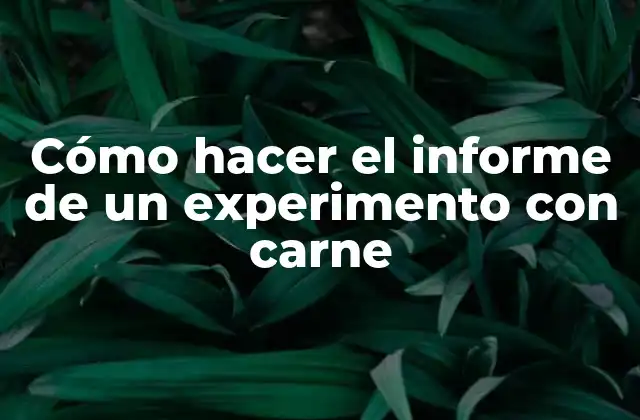 Informe de experimento con carne