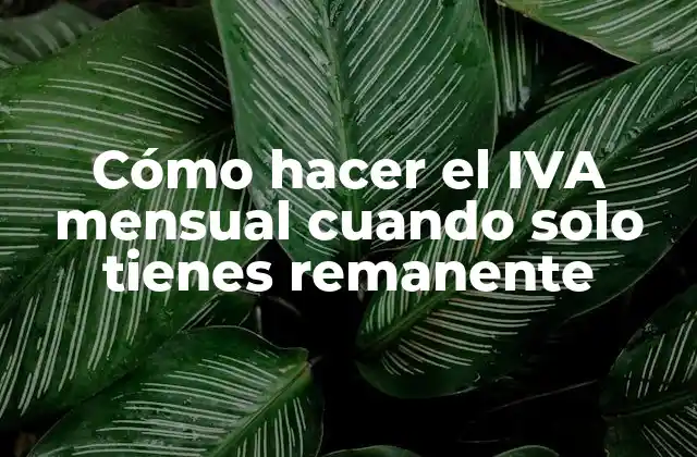 IVA mensual con remanente