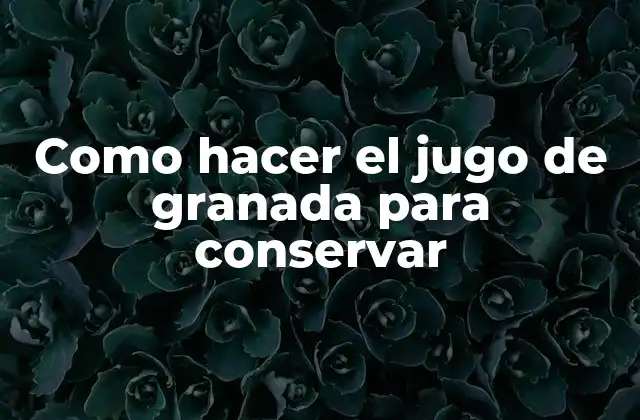 Como Hacer el Jugo de Granada para Conservar
